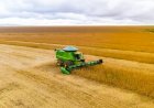 Cotações Agropecuárias