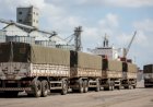 Soja cai pela 2ª semana em Paranaguá e acumula queda em janeiro