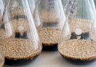 Mercado de biodefensivos cresce 18% na safra 2024-25