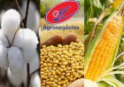 Cotações Agropecuárias