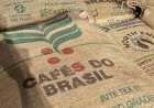 Exportações de café caem 31% em janeiro com estoques apertados e foco no mercado interno