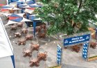 91ª ExpoZebu amplia opções de entretenimento e gastronomia para o público