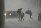 Previsão do tempo: veja como será o clima em março