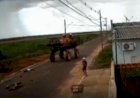 Adolescente morre em acidente com pulverizador agrícola no MT,  assista o vídeo com depoimento  da mãe  do adolescente