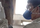 Saúde animal: CNA cobra providências para falta de vacina no País
