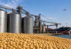 Acordo entre Mercosul e Japão pode beneficiar 18,4porcento pauta exportadora brasileira