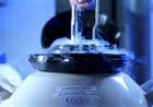 Minas Gerais transforma genética bovina em negócio global e lidera exportações de sêmen