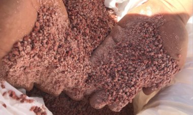 Importações crescem e preços de fertilizantes caem