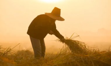 Enem: tema aplicado na região de Belém valoriza trabalhadores rurais