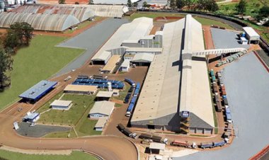 Yara vai quadruplicar fertilizantes de baixo carbono em 2026 e ampliar oferta para novas culturas