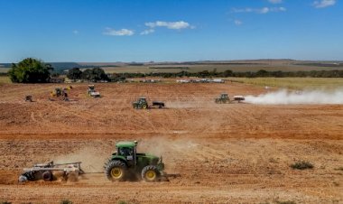Brasil celebra Dia Mundial do Solo com foco em recuperação e mapeamento de áreas