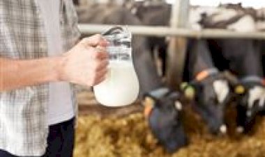 Bônus na seca: MS estrutura incentivo financeiro para produtores de leite