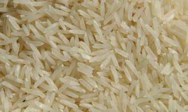 Exportação de arroz ganha força diante de oferta elevada