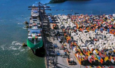 Brasil exporta 356 mil toneladas de carne bovina em novembro e 2025 já supera 2024