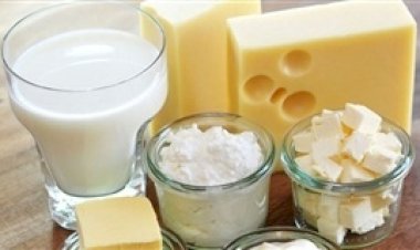 PR: Decreto define normas para uso de lácteos importados na indústria