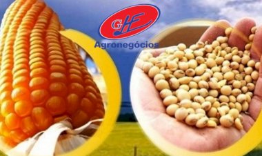 Mercados agrícolas abrem o dia com movimentos mistos