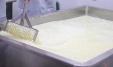 Governo de Goiás publica novo edital para melhoria de agroindústrias de pequeno porte