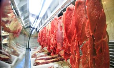 Carne bovina encerra 2025 em ritmo de valorização