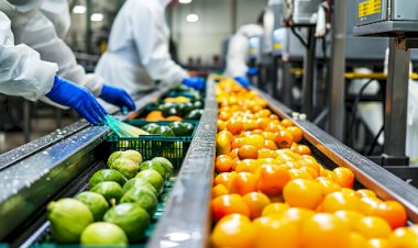 Depreciação acelerada impulsiona R$ 4,7 bilhões em investimentos industriais, aponta MDIC