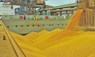 Soja pautada por recuperação produtiva