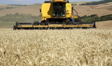 Mercado de trigo fecha em alta nas bolsas internacionais