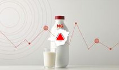 Conseleite/MG projeta valor de referência do leite a ser pago em janeiro/26