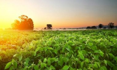 O Rosto do Agro: Quem é o Produtor Rural Brasileiro atual?