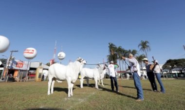 ACNB define as exposições Ouro dos rankings nacionais 2025/26