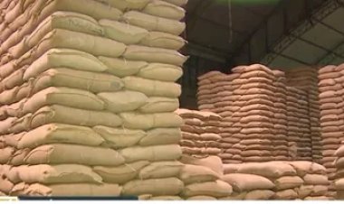 Polícia investiga desaparecimento de sacas de café em cooperativa no Sul de Minas