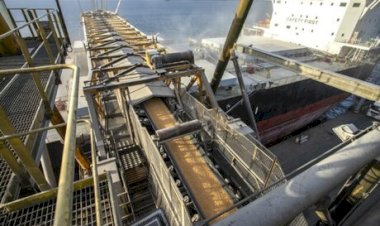 Milho pressiona preços internos e abre janela para exportação