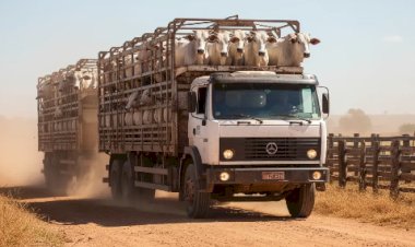 São Paulo moderniza a emissão de guias do transporte agropecuário