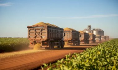 Logística no agronegócio e as perdas no transporte de grãos