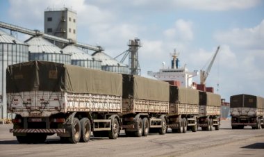 Soja cai pela 2ª semana em Paranaguá e acumula queda em janeiro