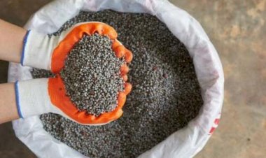 Governo de MT prorroga diferimento do ICMS para fertilizantes e mantém benefício até dezembro de 2026