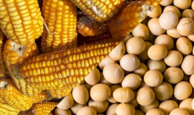 Cotações Agropecuárias