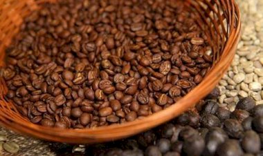 Exportações de café do Brasil caem em 2025, mas receita é recorde