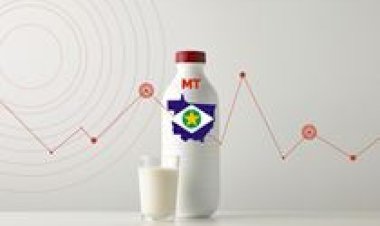 Conseleite/MT divulga o valor do leite pago em janeiro/26