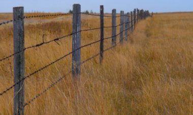 Acordo encerra conflito fundiário de duas décadas no Paraná e viabiliza reforma agrária em 58 mil hectares