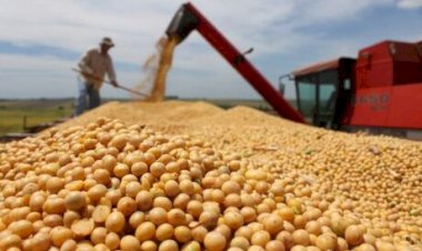 Abiove projeta recorde de 61 milhões de toneladas no processamento de soja em 2026