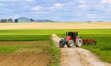 Agro paulista exporta US$ 4,14 bilhões para a União Europeia em 2025