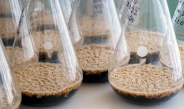 Mercado de biodefensivos cresce 18% na safra 2024-25