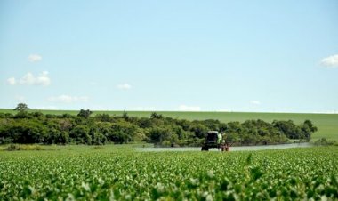 Como a soja iniciou a semana?