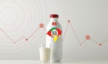 Conseleite/RS divulga valor de projeção para o valor de referência do leite em janeiro/26