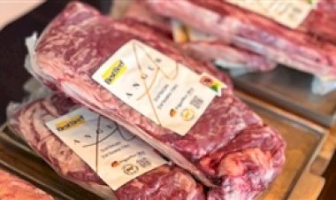 Diante de tarifas e cotas, carne brasileira avança para mercados mais exigentes