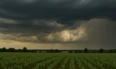 Previsão do tempo: Brasil tem quinta com pancadas de chuva, temporais e calor