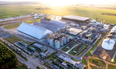 FS vende primeira carga de DDG de alta proteína do Brasil para a China