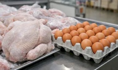 Avicultura começa 2026 sob pressão: frango cai pelo 3º mês e ovos disparam