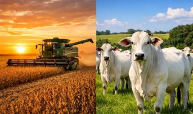 Veja aqui Cotações mista do Agro