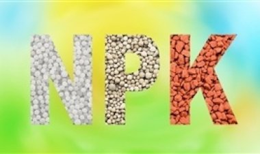 Índices mostram valorização persistente dos fertilizantes