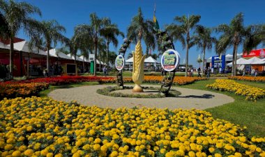 Com mais de 61 mil visitantes, Show Rural quebra recorde histórico e dita o rumo da safra 26